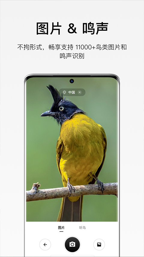 截图5